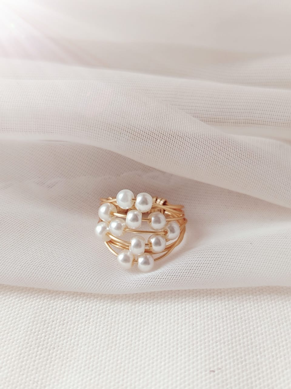 Anillo discípulos