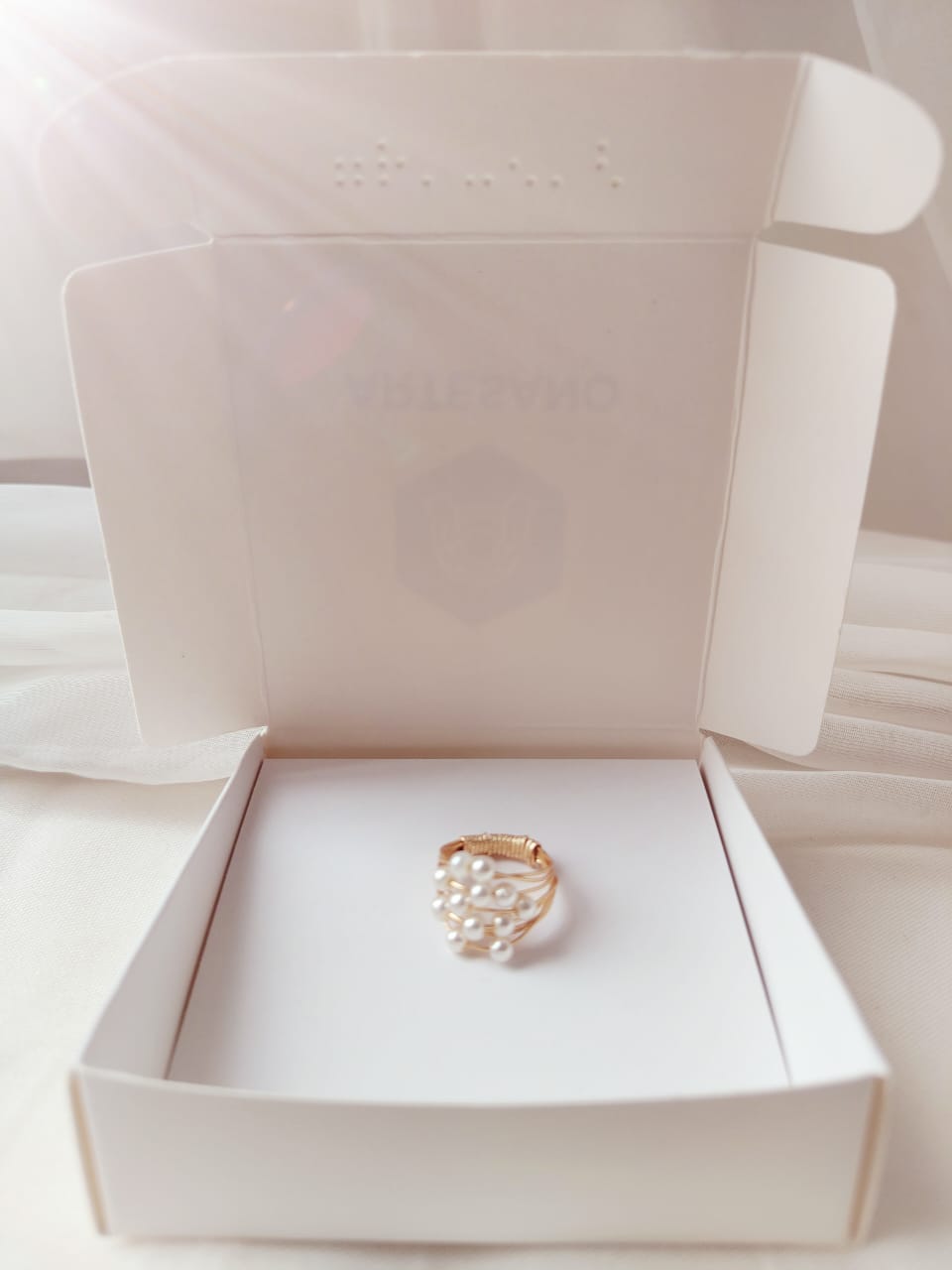 Anillo discípulos