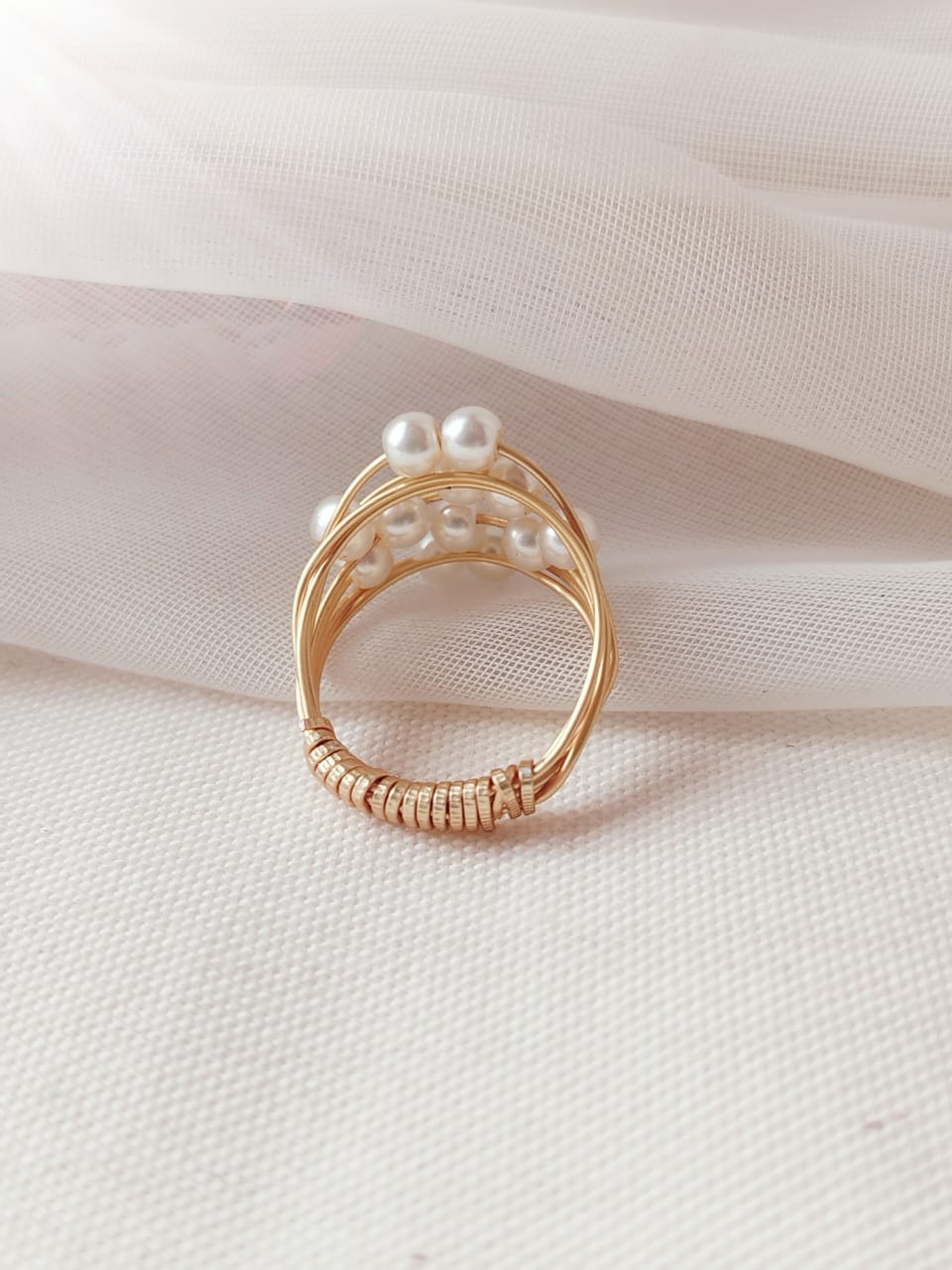 Anillo discípulos