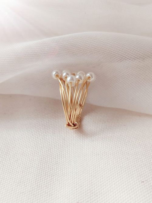 Anillo discípulos
